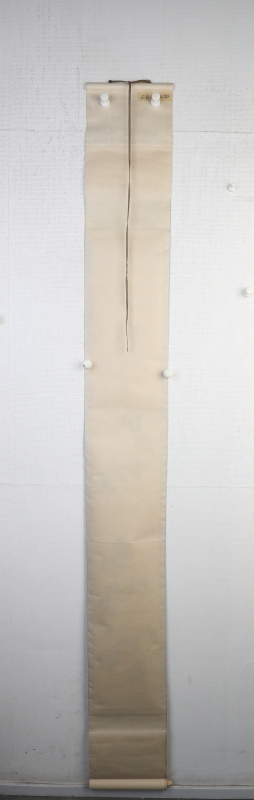 (5)